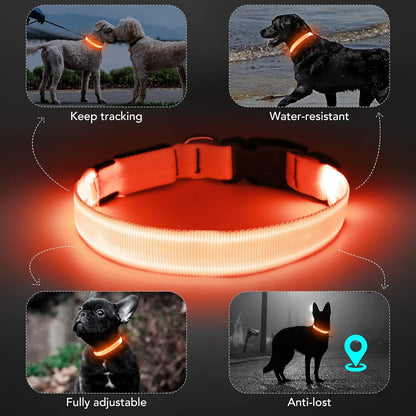 Light Up Dog Collar, Rechargeable USB Collar, Waterproof, Luminous LED Collar, Adjustable, Super Bright, Night Walking for Small Medium Large Dogs, Orange, M