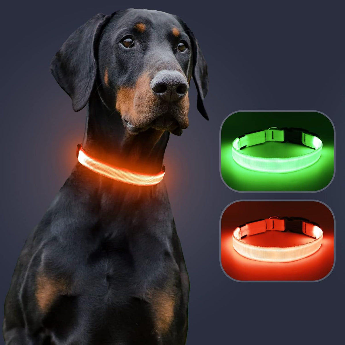 Light Up Dog Collar, Rechargeable USB Collar, Waterproof, Luminous LED Collar, Adjustable, Super Bright, Night Walking for Small Medium Large Dogs, Orange, M
