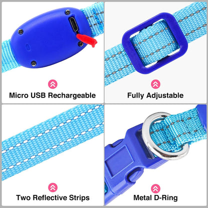 Light Up Dog Collar, Rechargeable USB Collar, Waterproof, Luminous LED Collar, Adjustable, Super Bright, Night Walking for Small Medium Large Dogs, Orange, M