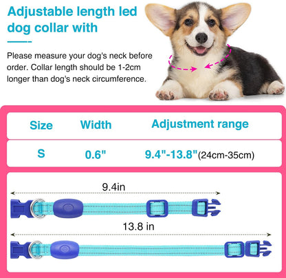Light Up Dog Collar, Rechargeable USB Collar, Waterproof, Luminous LED Collar, Adjustable, Super Bright, Night Walking for Small Medium Large Dogs, Orange, M