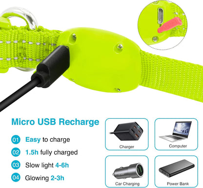 Light Up Dog Collar, Rechargeable USB Collar, Waterproof, Luminous LED Collar, Adjustable, Super Bright, Night Walking for Small Medium Large Dogs, Orange, M