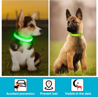 Light Up Dog Collar, Rechargeable USB Collar, Waterproof, Luminous LED Collar, Adjustable, Super Bright, Night Walking for Small Medium Large Dogs, Orange, M