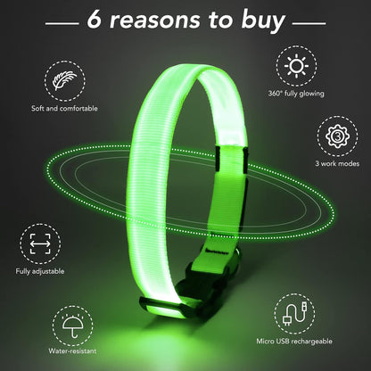 Light Up Dog Collar, Rechargeable USB Collar, Waterproof, Luminous LED Collar, Adjustable, Super Bright, Night Walking for Small Medium Large Dogs, Orange, M