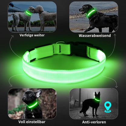Light Up Dog Collar, Rechargeable USB Collar, Waterproof, Luminous LED Collar, Adjustable, Super Bright, Night Walking for Small Medium Large Dogs, Orange, M