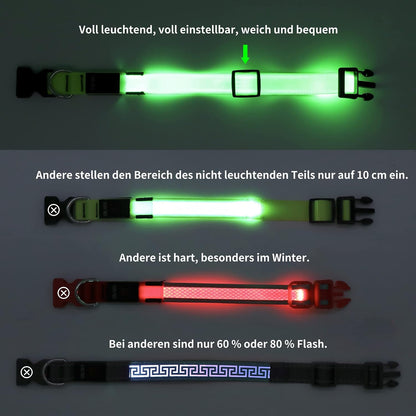 Light Up Dog Collar, Rechargeable USB Collar, Waterproof, Luminous LED Collar, Adjustable, Super Bright, Night Walking for Small Medium Large Dogs, Orange, M