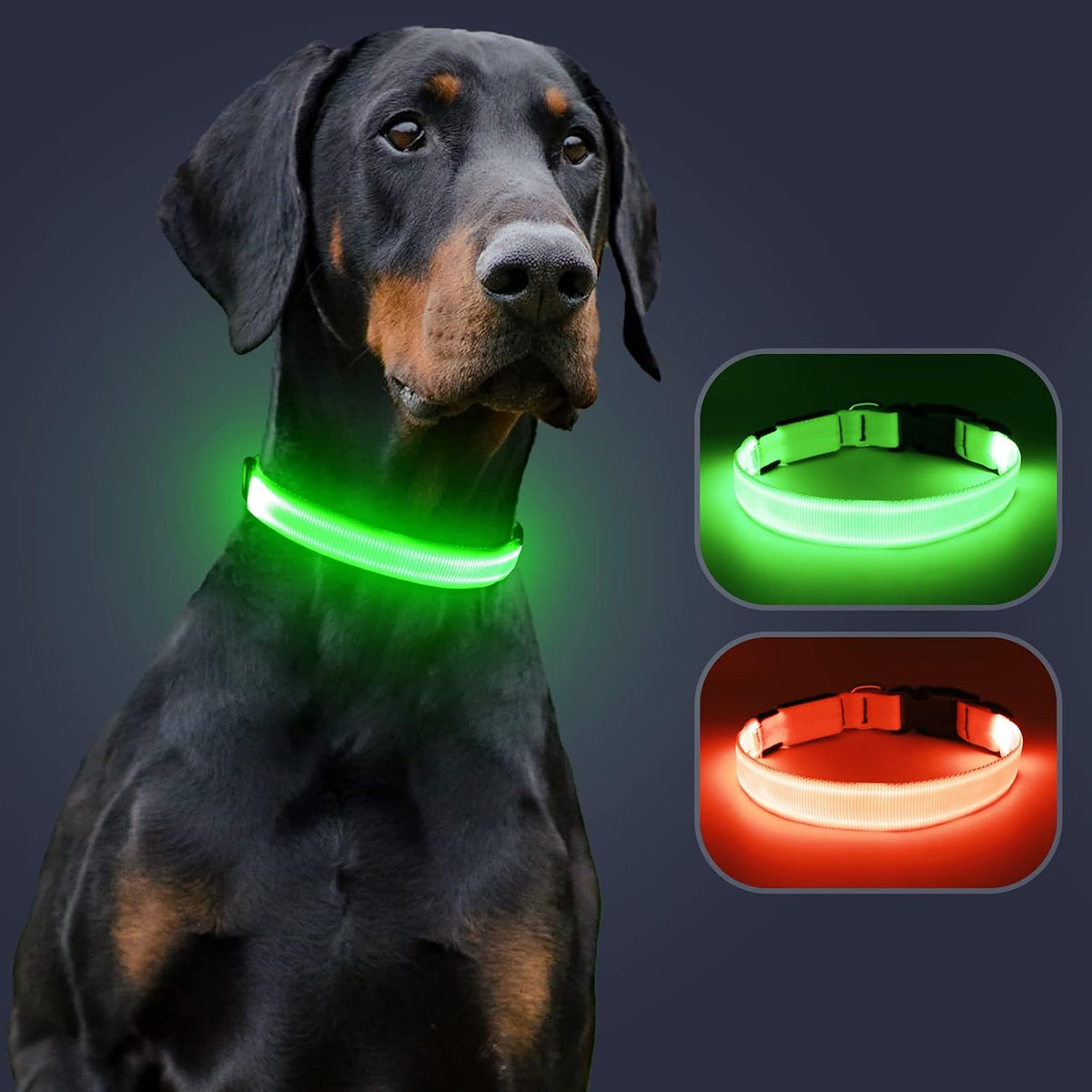 Light Up Dog Collar, Rechargeable USB Collar, Waterproof, Luminous LED Collar, Adjustable, Super Bright, Night Walking for Small Medium Large Dogs, Orange, M