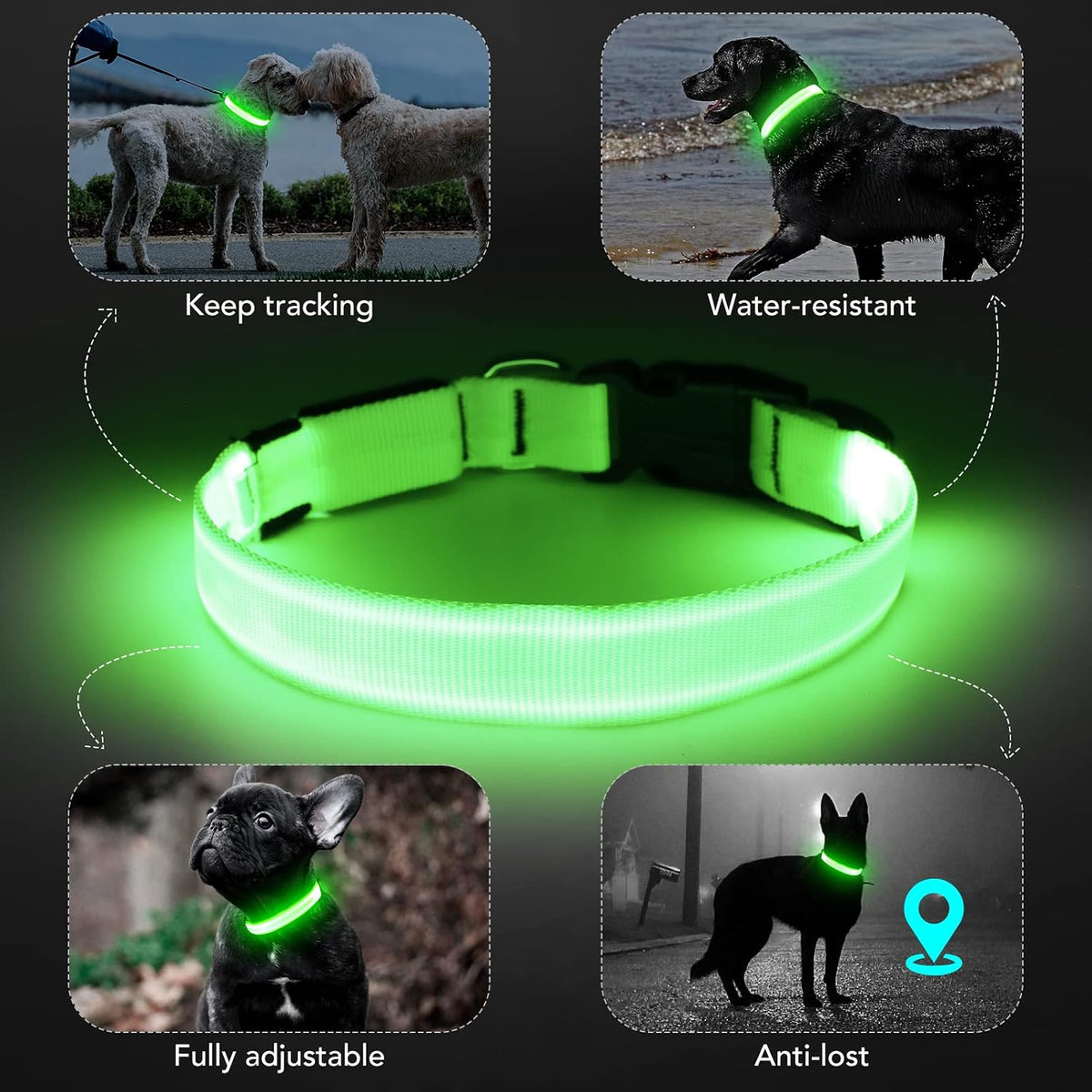 Light Up Dog Collar, Rechargeable USB Collar, Waterproof, Luminous LED Collar, Adjustable, Super Bright, Night Walking for Small Medium Large Dogs, Orange, M