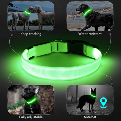 Light Up Dog Collar, Rechargeable USB Collar, Waterproof, Luminous LED Collar, Adjustable, Super Bright, Night Walking for Small Medium Large Dogs, Orange, M