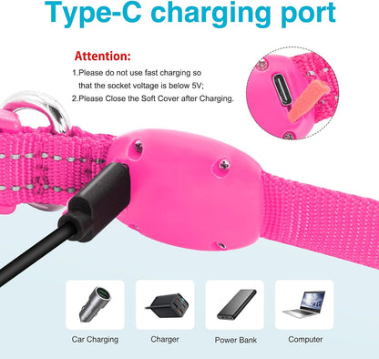 Light Up Dog Collar, Rechargeable USB Collar, Waterproof, Luminous LED Collar, Adjustable, Super Bright, Night Walking for Small Medium Large Dogs, Orange, M