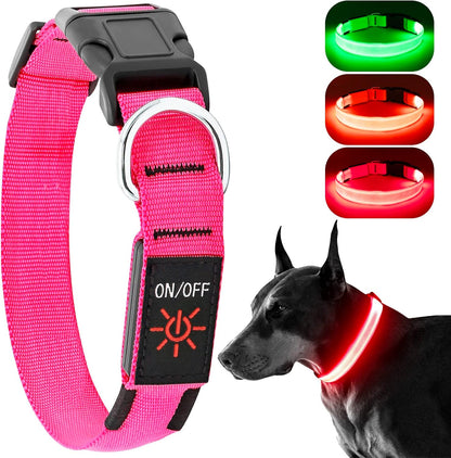 Light Up Dog Collar, Rechargeable USB Collar, Waterproof, Luminous LED Collar, Adjustable, Super Bright, Night Walking for Small Medium Large Dogs, Orange, M