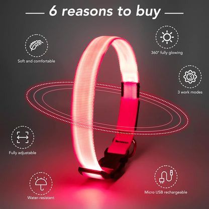 Light Up Dog Collar, Rechargeable USB Collar, Waterproof, Luminous LED Collar, Adjustable, Super Bright, Night Walking for Small Medium Large Dogs, Orange, M