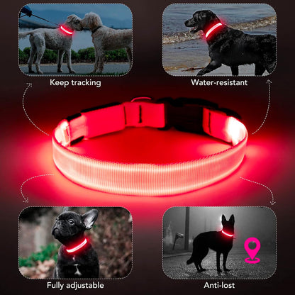 Light Up Dog Collar, Rechargeable USB Collar, Waterproof, Luminous LED Collar, Adjustable, Super Bright, Night Walking for Small Medium Large Dogs, Orange, M