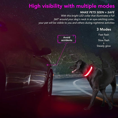 Light Up Dog Collar, Rechargeable USB Collar, Waterproof, Luminous LED Collar, Adjustable, Super Bright, Night Walking for Small Medium Large Dogs, Orange, M