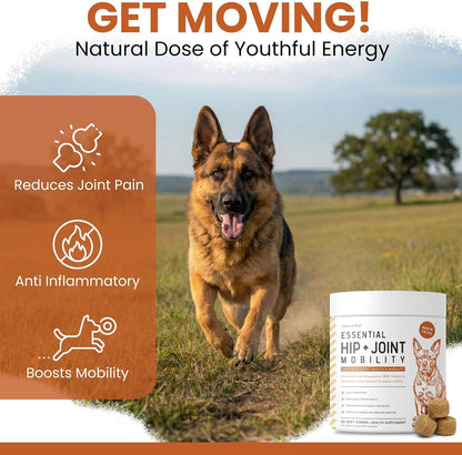 Hip and Joint Supplement For Dogs, 60 Soft Chews, Glucosamine & Chondroitin