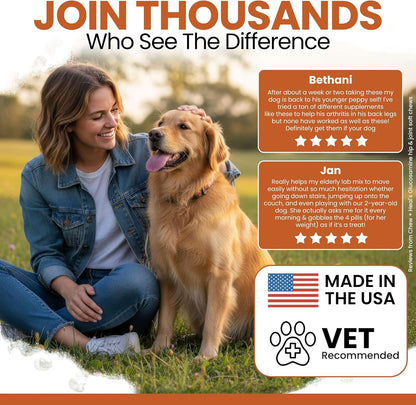 Hip and Joint Supplement For Dogs, 60 Soft Chews, Glucosamine & Chondroitin