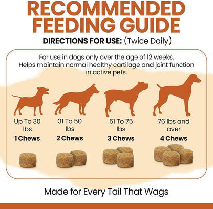 Hip and Joint Supplement For Dogs, 60 Soft Chews, Glucosamine & Chondroitin