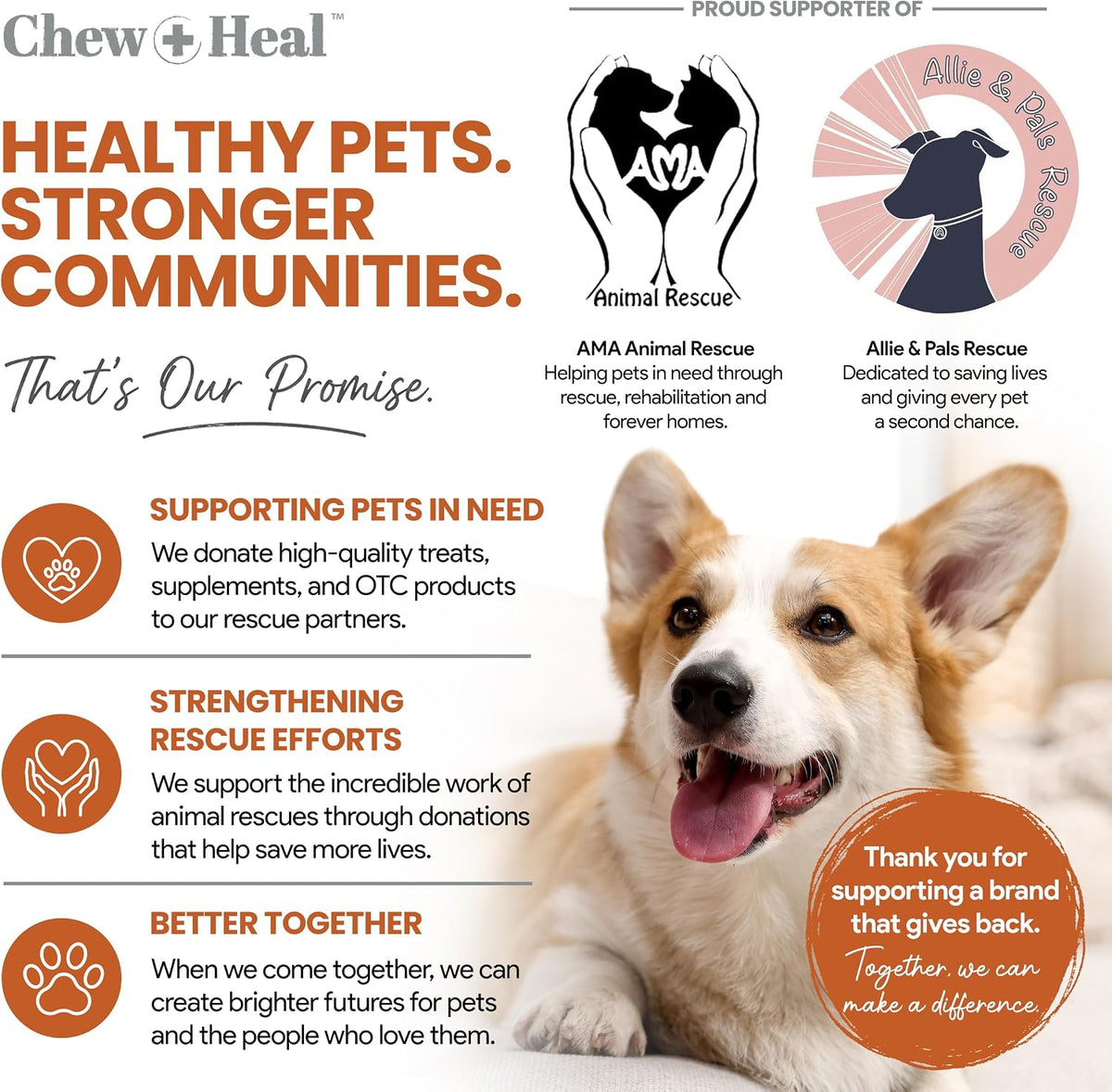 Hip and Joint Supplement For Dogs, 60 Soft Chews, Glucosamine & Chondroitin