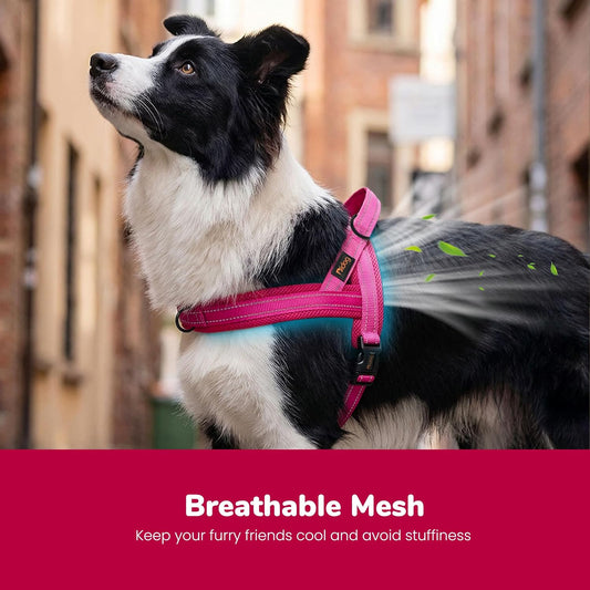 No Pull Dog Harness for Medium Dogs, Breathable Mesh, Hot Pink, M