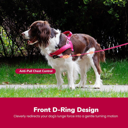 No Pull Dog Harness for Medium Dogs, Breathable Mesh, Hot Pink, M