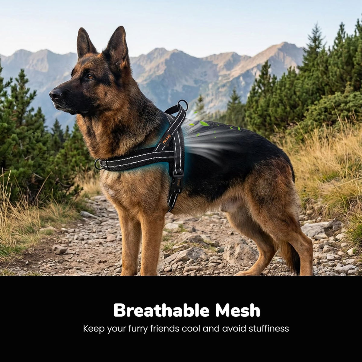 No Pull Dog Harness for Medium Dogs, Breathable Mesh, Hot Pink, M