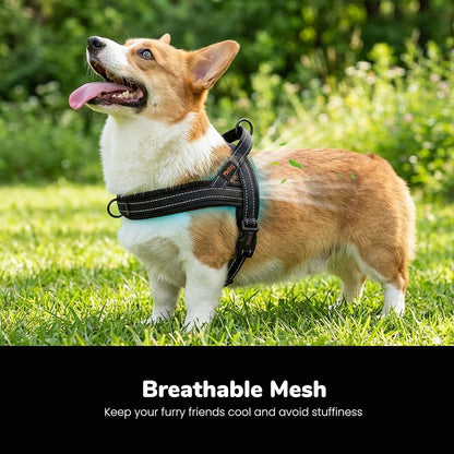 No Pull Dog Harness for Medium Dogs, Breathable Mesh, Hot Pink, M