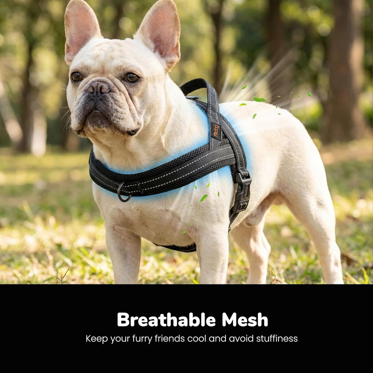 No Pull Dog Harness for Medium Dogs, Breathable Mesh, Hot Pink, M