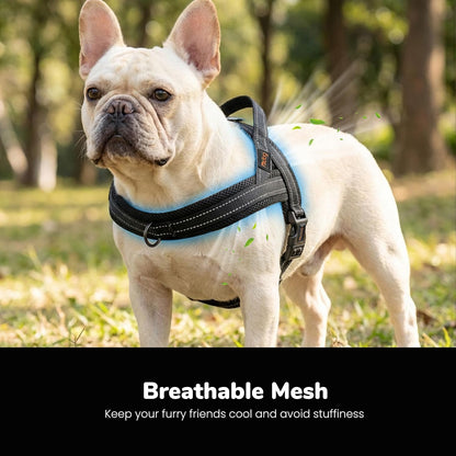 No Pull Dog Harness for Medium Dogs, Breathable Mesh, Hot Pink, M