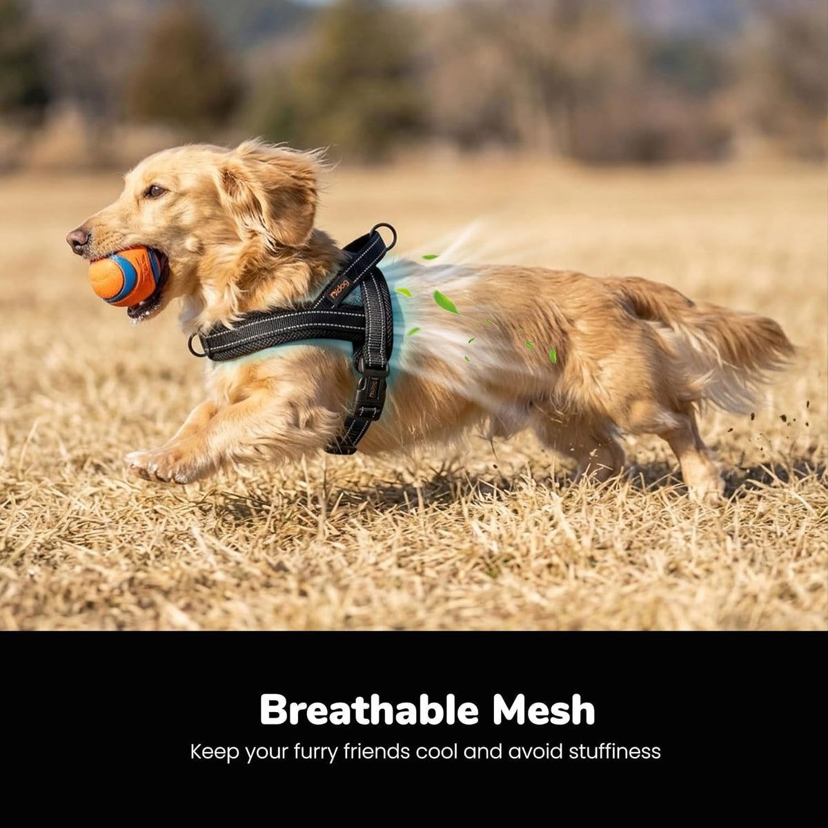 No Pull Dog Harness for Medium Dogs, Breathable Mesh, Hot Pink, M