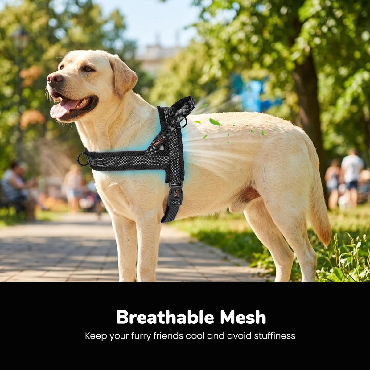 No Pull Dog Harness for Medium Dogs, Breathable Mesh, Hot Pink, M