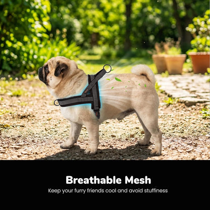 No Pull Dog Harness for Medium Dogs, Breathable Mesh, Hot Pink, M