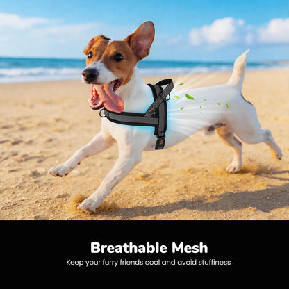 No Pull Dog Harness for Medium Dogs, Breathable Mesh, Hot Pink, M