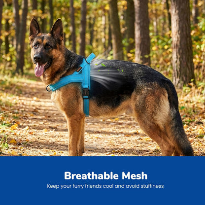 No Pull Dog Harness for Medium Dogs, Breathable Mesh, Hot Pink, M
