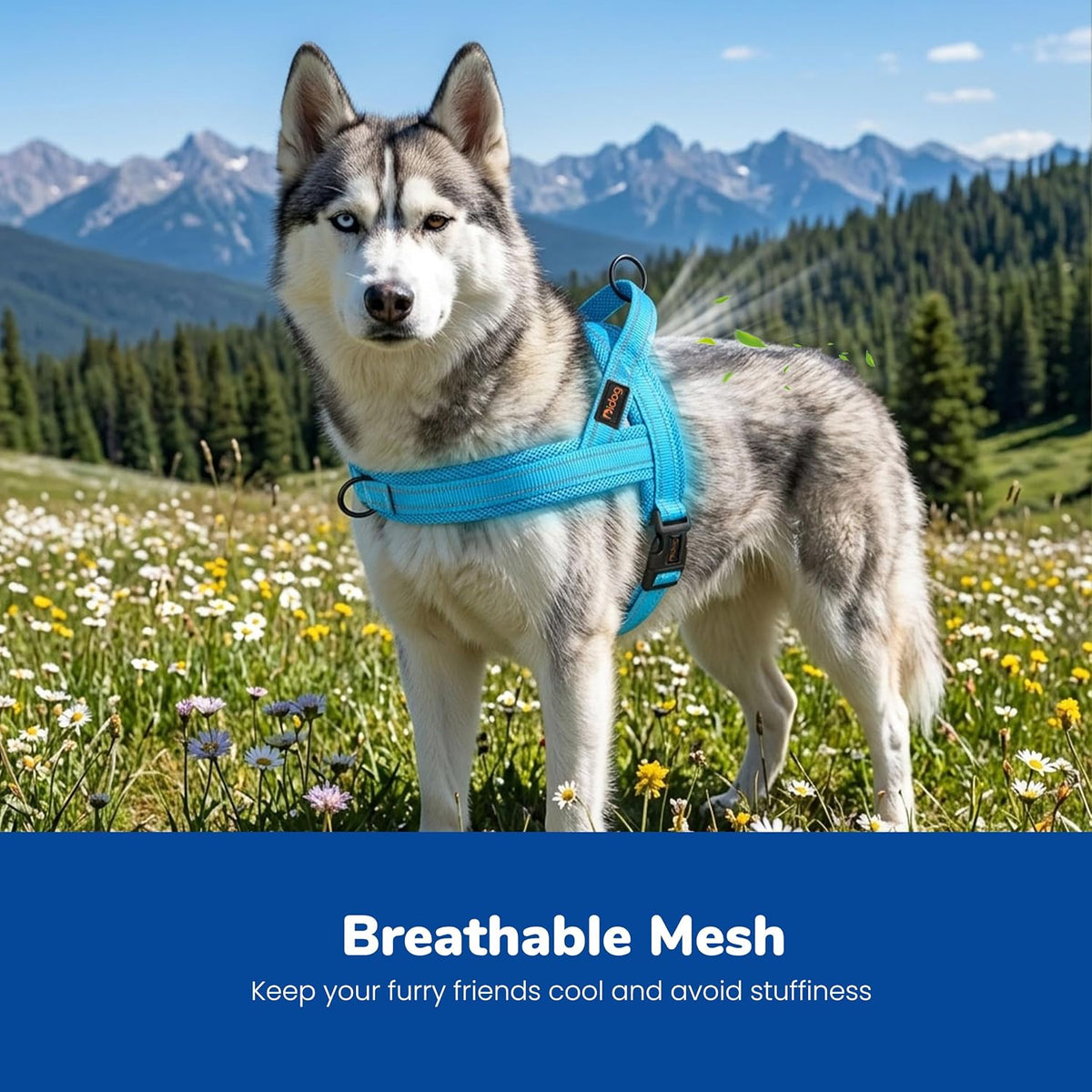 No Pull Dog Harness for Medium Dogs, Breathable Mesh, Hot Pink, M
