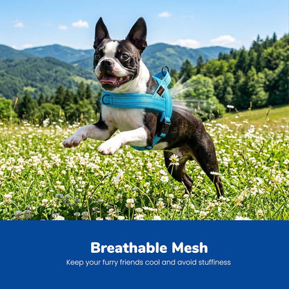 No Pull Dog Harness for Medium Dogs, Breathable Mesh, Hot Pink, M