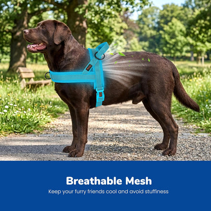 No Pull Dog Harness for Medium Dogs, Breathable Mesh, Hot Pink, M