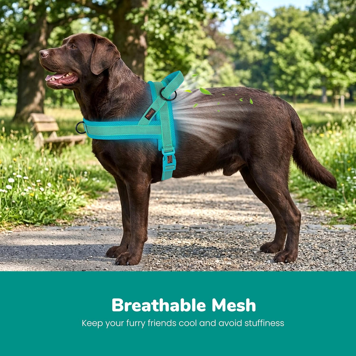 No Pull Dog Harness for Medium Dogs, Breathable Mesh, Hot Pink, M