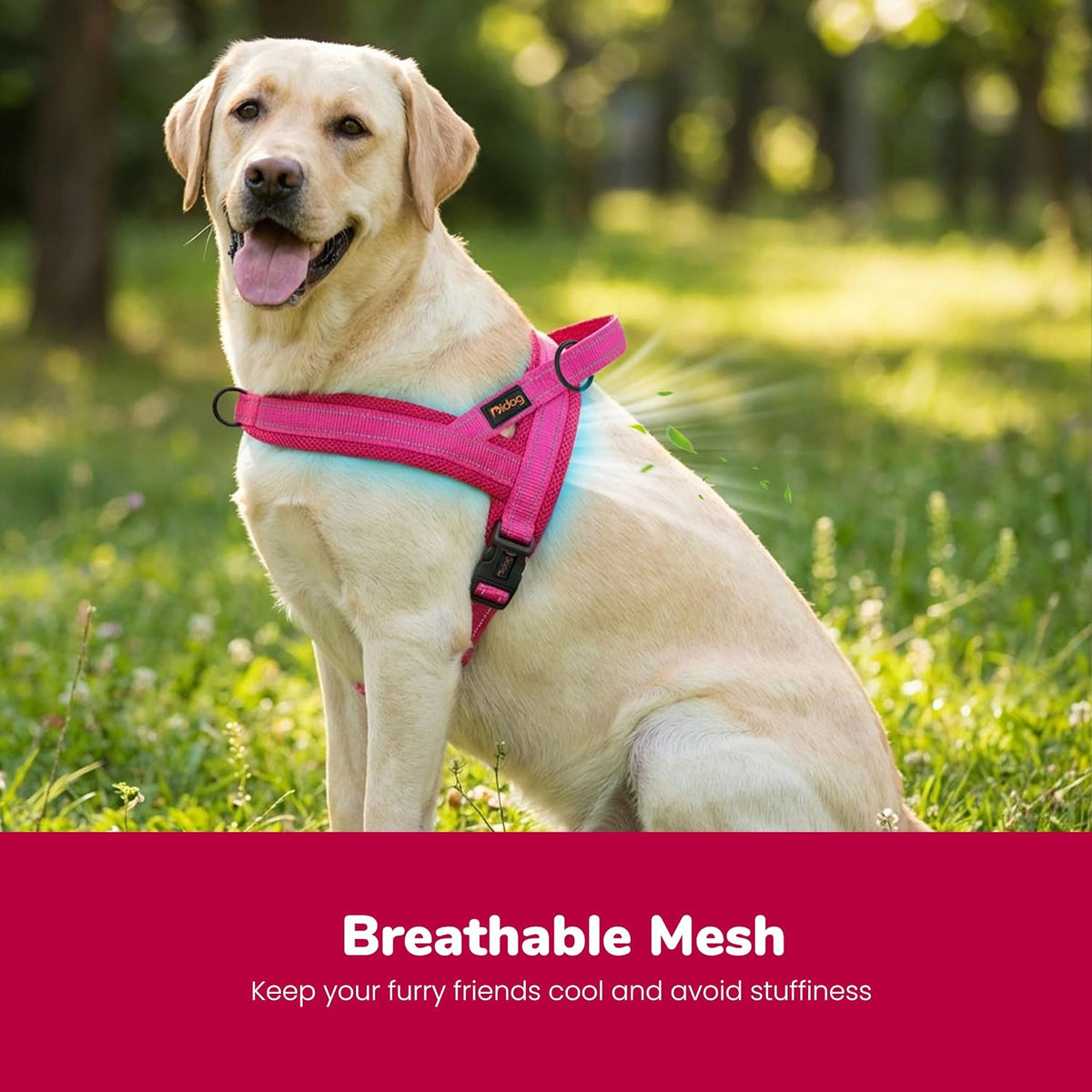 No Pull Dog Harness for Medium Dogs, Breathable Mesh, Hot Pink, M