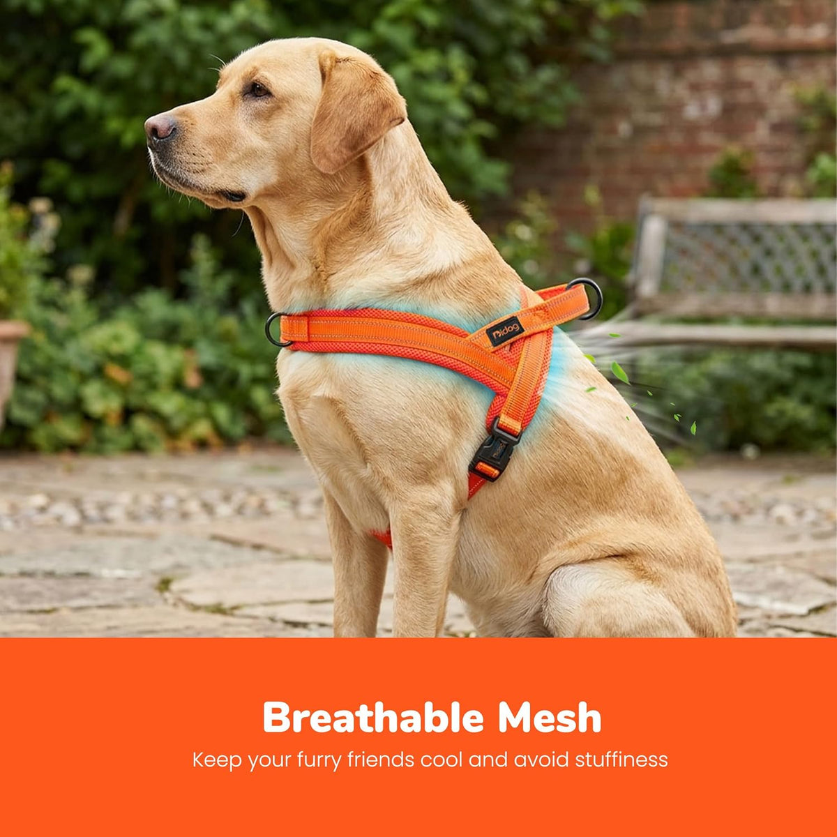No Pull Dog Harness for Medium Dogs, Breathable Mesh, Hot Pink, M