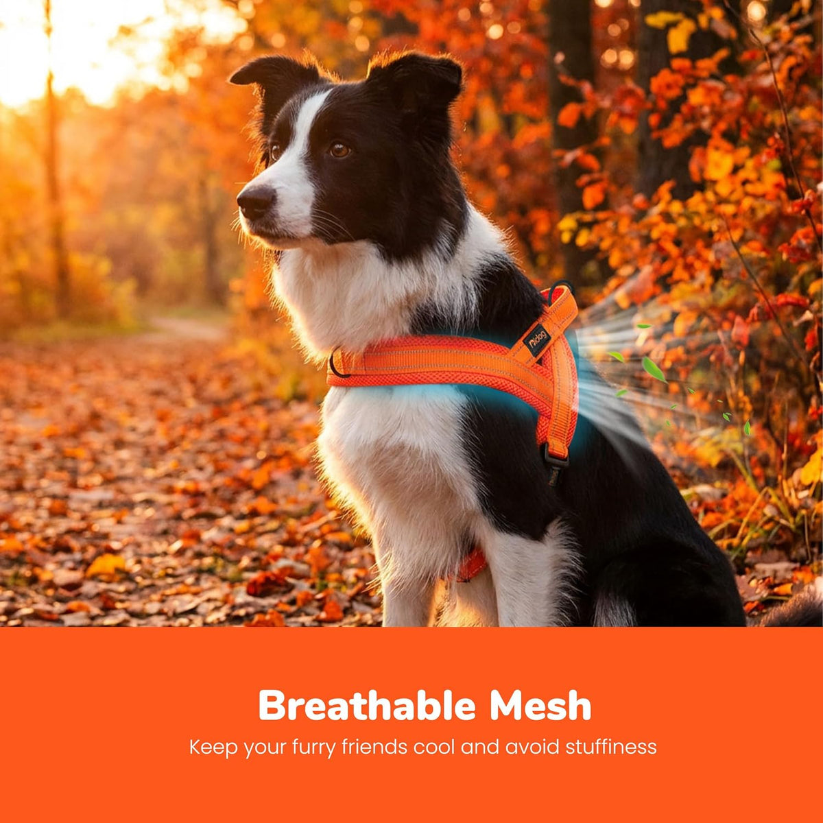 No Pull Dog Harness for Medium Dogs, Breathable Mesh, Hot Pink, M
