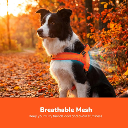 No Pull Dog Harness for Medium Dogs, Breathable Mesh, Hot Pink, M