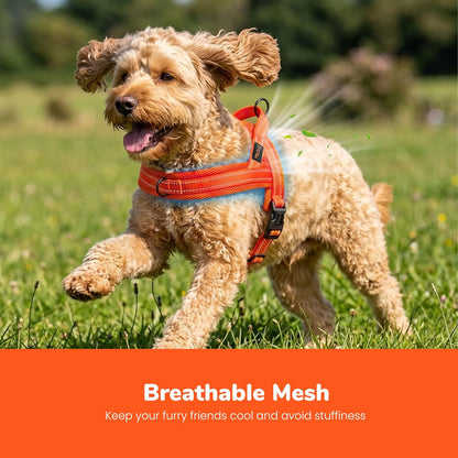 No Pull Dog Harness for Medium Dogs, Breathable Mesh, Hot Pink, M