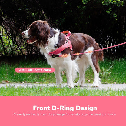 No Pull Dog Harness for Medium Dogs, Breathable Mesh, Hot Pink, M