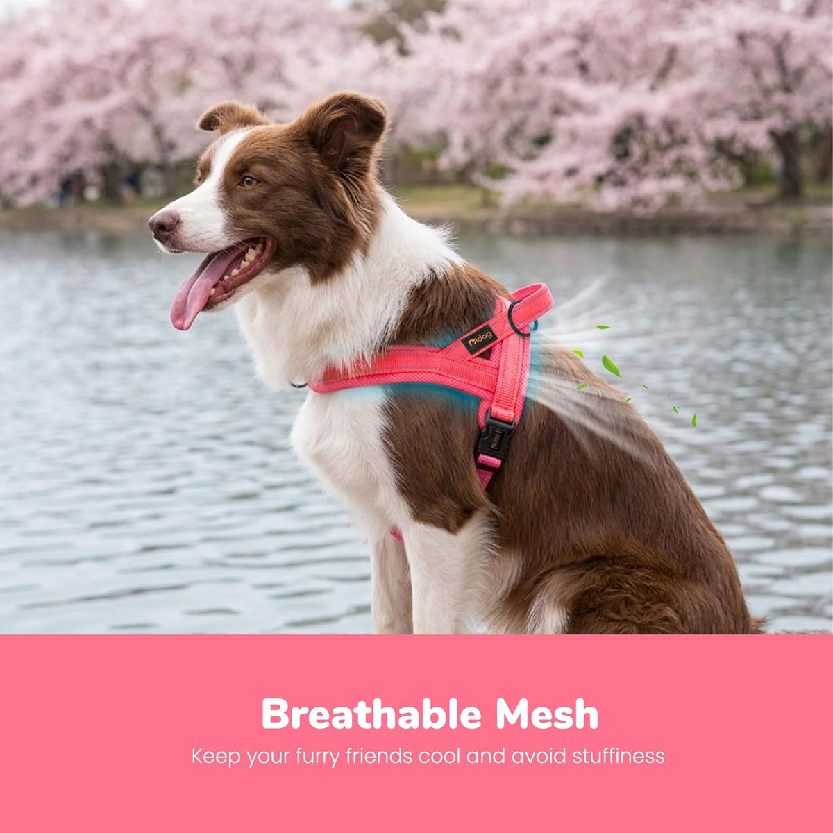 No Pull Dog Harness for Medium Dogs, Breathable Mesh, Hot Pink, M