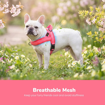 No Pull Dog Harness for Medium Dogs, Breathable Mesh, Hot Pink, M