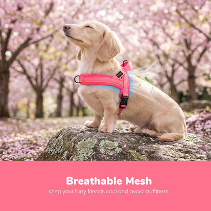 No Pull Dog Harness for Medium Dogs, Breathable Mesh, Hot Pink, M