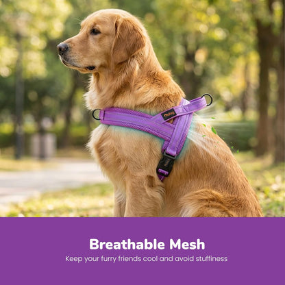 No Pull Dog Harness for Medium Dogs, Breathable Mesh, Hot Pink, M