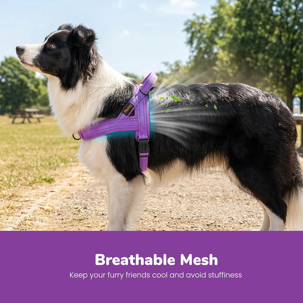 No Pull Dog Harness for Medium Dogs, Breathable Mesh, Hot Pink, M