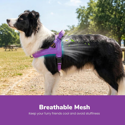 No Pull Dog Harness for Medium Dogs, Breathable Mesh, Hot Pink, M