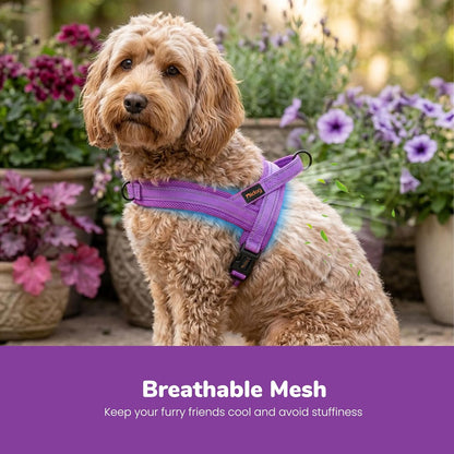 No Pull Dog Harness for Medium Dogs, Breathable Mesh, Hot Pink, M