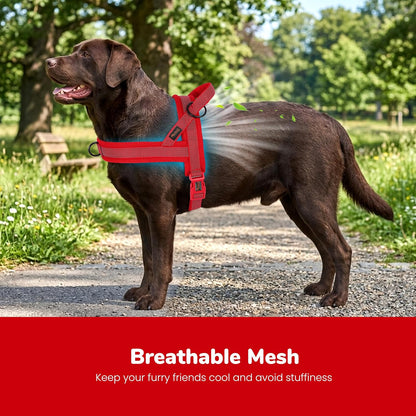 No Pull Dog Harness for Medium Dogs, Breathable Mesh, Hot Pink, M